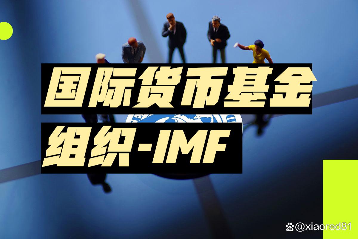 国际货币基金组织(国际货币基金组织在哪里)
